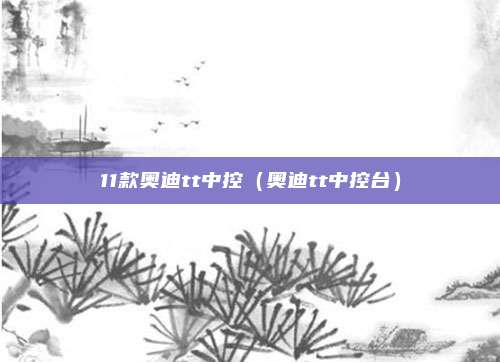 11款奥迪tt中控（奥迪tt中控台）