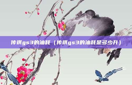传祺gs3的油耗（传祺gs3的油耗是多少升）