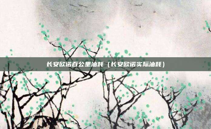 长安欧诺百公里油耗（长安欧诺实际油耗）