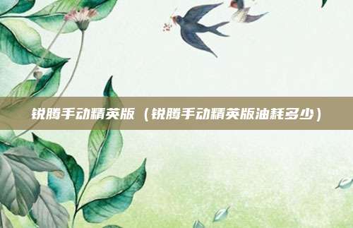 锐腾手动精英版(锐腾手动精英版油耗多少)