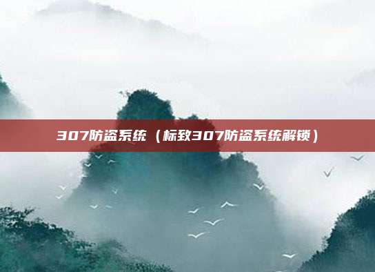 307防盗系统（标致307防盗系统解锁）