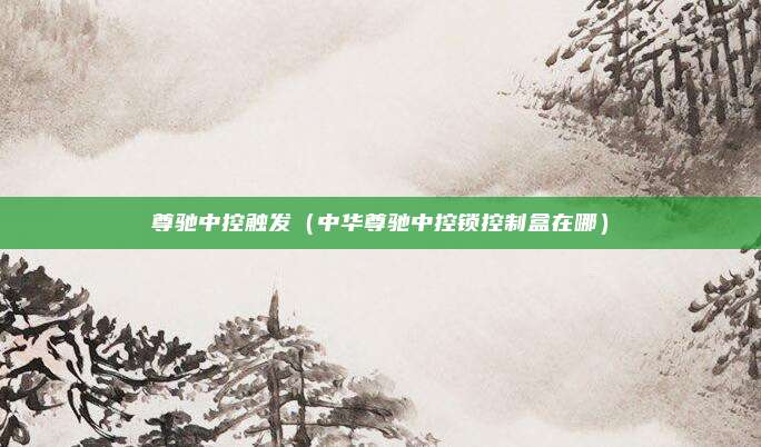 尊驰中控触发（中华尊驰中控锁控制盒在哪）