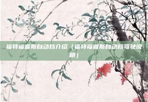 福特福睿斯自动挡介绍（福特福睿斯自动档驾驶说明）