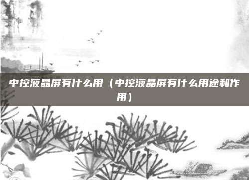 中控液晶屏有什么用（中控液晶屏有什么用途和作用）