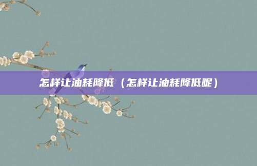 怎样让油耗降低(怎样让油耗降低呢)