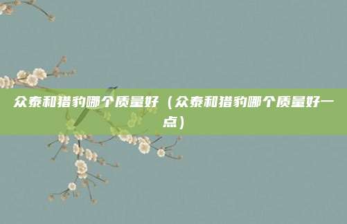 众泰和猎豹哪个质量好(众泰和猎豹哪个质量好一点)
