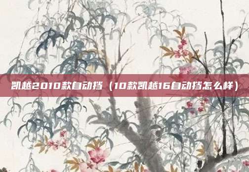 凯越2010款自动挡(10款凯越16自动挡怎么样)