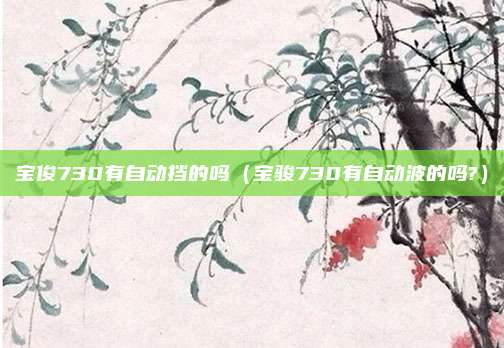 宝俊730有自动挡的吗（宝骏730有自动波的吗?）