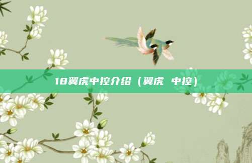 18翼虎中控介绍（翼虎 中控）
