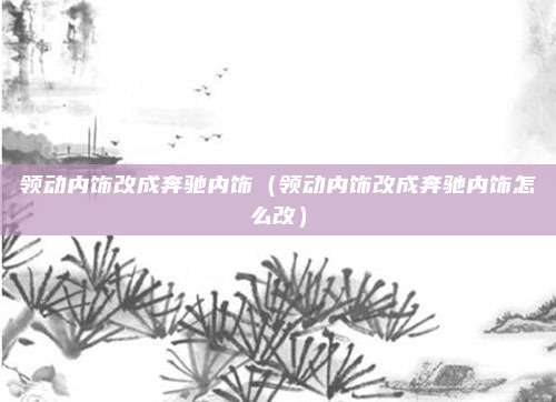 领动内饰改成奔驰内饰（领动内饰改成奔驰内饰怎么改）