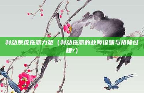 制动系统拖滞力矩（制动拖滞的故障诊断与排除过程?）