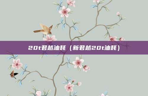 20t君越油耗(新君越20t油耗)