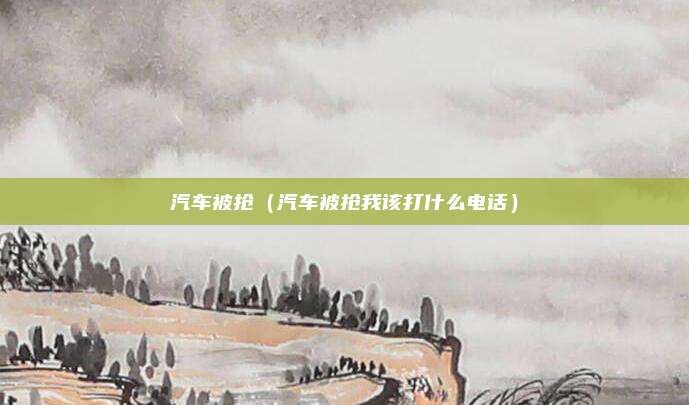 汽车被抢(汽车被抢我该打什么电话)