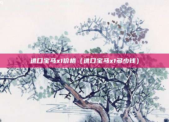 进口宝马x1价格（进口宝马x1多少钱）