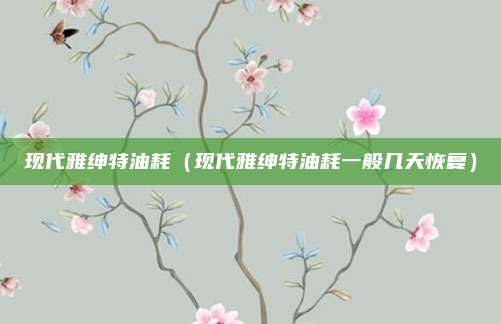 现代雅绅特油耗（现代雅绅特油耗一般几天恢复）