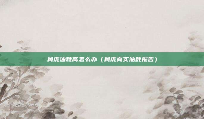 翼虎油耗高怎么办（翼虎真实油耗报告）