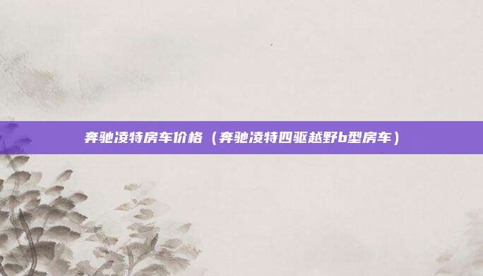 奔驰凌特房车价格（奔驰凌特四驱越野b型房车）