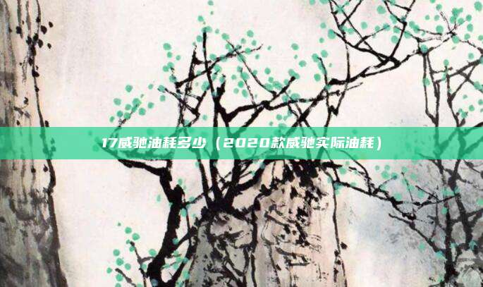 17威驰油耗多少（2020款威驰实际油耗）