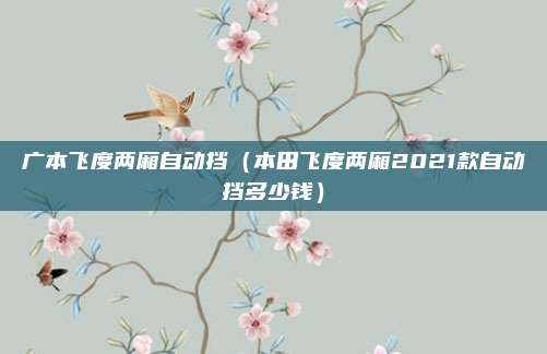 广本飞度两厢自动挡(本田飞度两厢2021款自动挡多少钱)