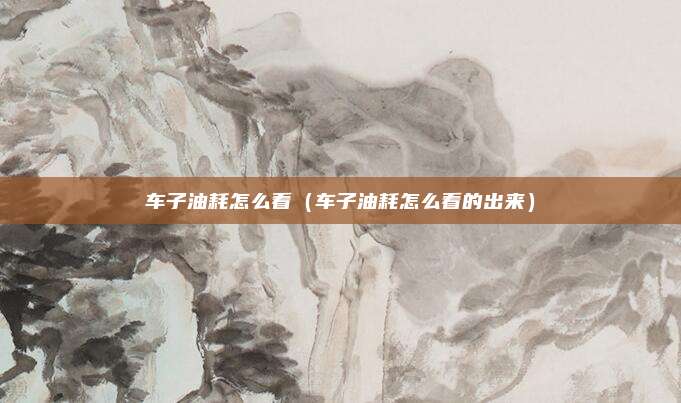 车子油耗怎么看(车子油耗怎么看的出来)