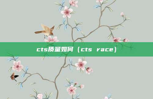 cts质量如何(cts race)