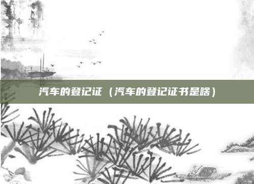 汽车的登记证(汽车的登记证书是啥)