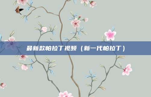 最新款帕拉丁视频(新一代帕拉丁)