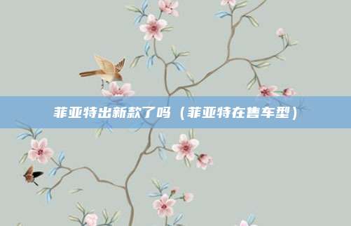 菲亚特出新款了吗(菲亚特在售车型)