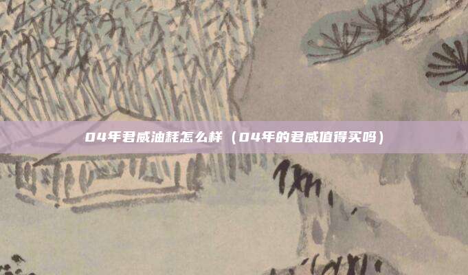 04年君威油耗怎么样（04年的君威值得买吗）