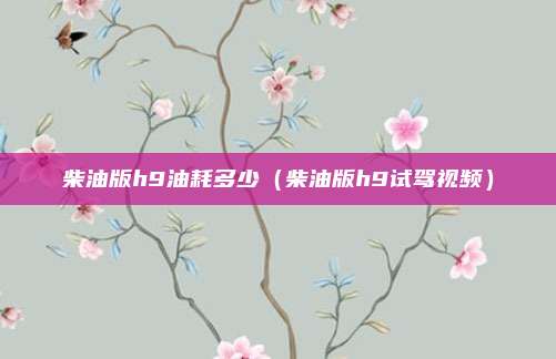 柴油版h9油耗多少（柴油版h9试驾视频）