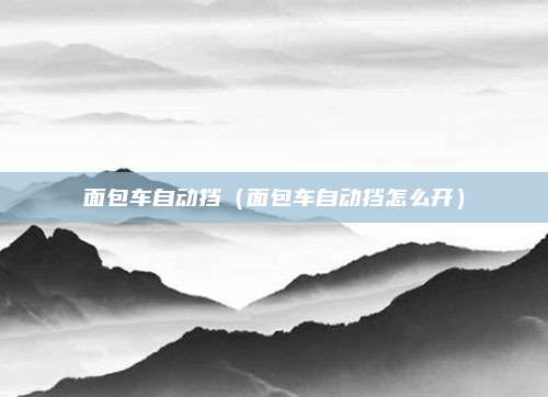 面包车自动挡(面包车自动挡怎么开)
