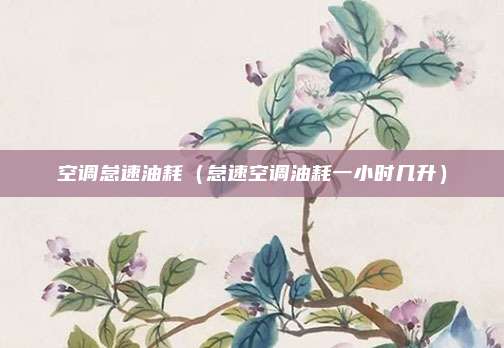 空调怠速油耗(怠速空调油耗一小时几升)