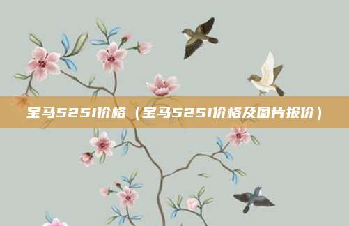 宝马525i价格（宝马525i价格及图片报价）