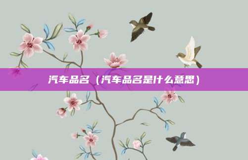 汽车品名（汽车品名是什么意思）