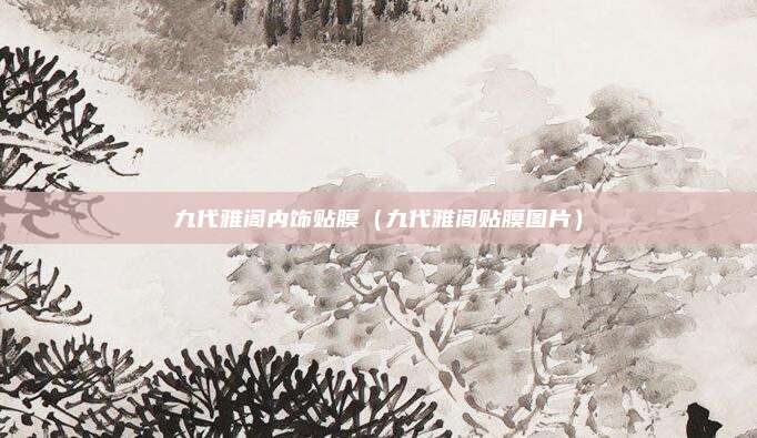 九代雅阁内饰贴膜（九代雅阁贴膜图片）