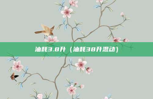 油耗3.8升（油耗38升混动）