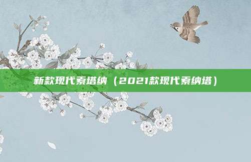 新款现代索塔纳（2021款现代索纳塔）