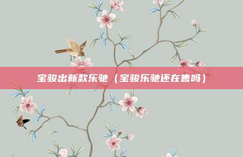 宝骏出新款乐驰（宝骏乐驰还在售吗）
