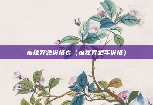 福建奔驰价格表（福建奔驰车价格）