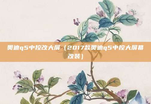 奥迪q5中控改大屏（2017款奥迪q5中控大屏幕改装）