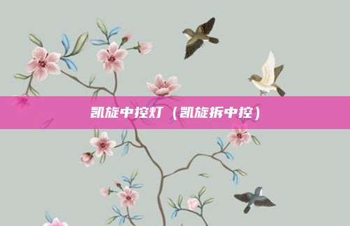 凯旋中控灯（凯旋拆中控）