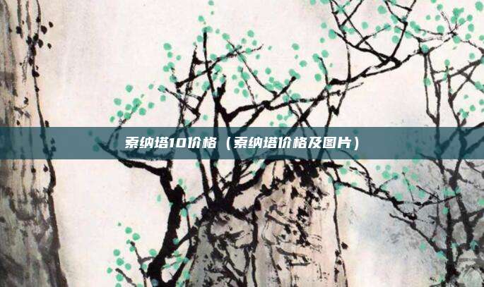 索纳塔10价格(索纳塔价格及图片)