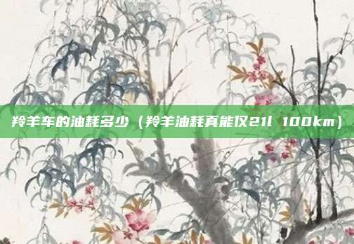 羚羊车的油耗多少(羚羊油耗真能仅21l 100km)