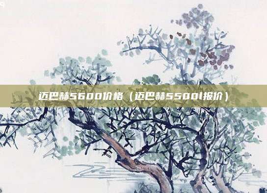 迈巴赫5600价格（迈巴赫5500l报价）