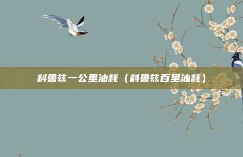 科鲁兹一公里油耗（科鲁兹百里油耗）