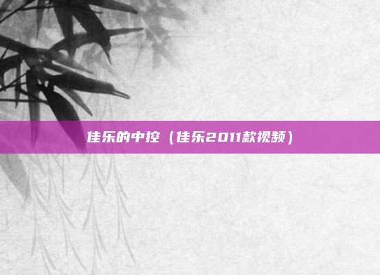 佳乐的中控（佳乐2011款视频）