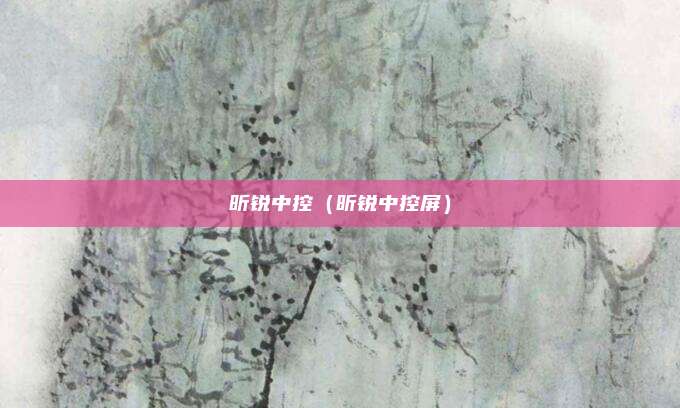 昕锐中控（昕锐中控屏）