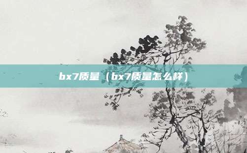 bx7质量（bx7质量怎么样）