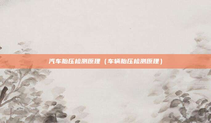 汽车胎压检测原理(车辆胎压检测原理)