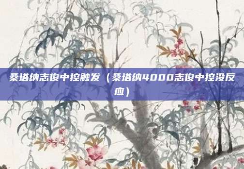 桑塔纳志俊中控触发（桑塔纳4000志俊中控没反应）